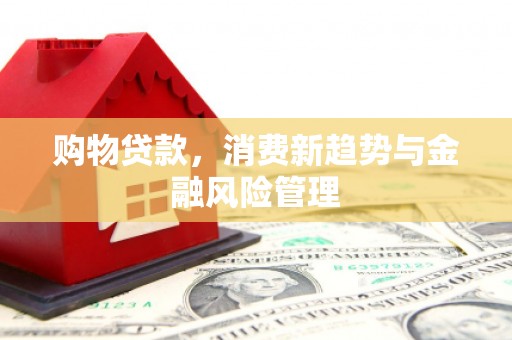 西岗购物贷款，消费新趋势与金融风险管理