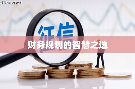 新泰财务规划的智慧之选