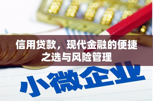 惠东信用贷款，现代金融的便捷之选与风险管理