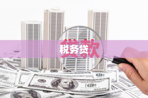 中正税务贷