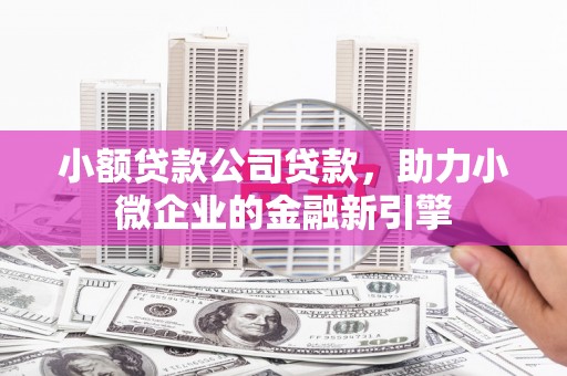 南平小额贷款公司贷款，助力小微企业的金融新引擎