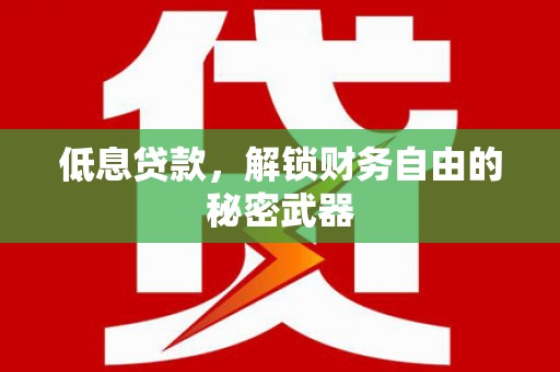 西市低息贷款，解锁财务自由的秘密武器