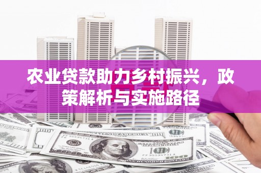 东安农业贷款助力乡村振兴，政策解析与实施路径