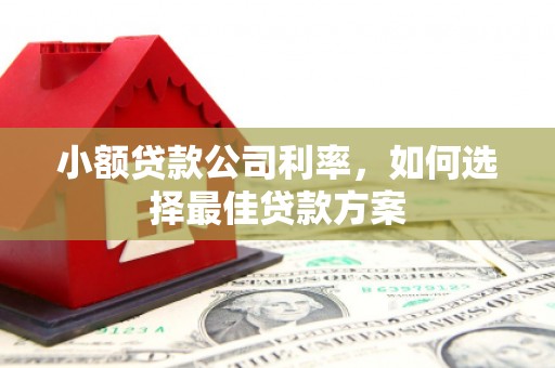 城中小额贷款公司利率，如何选择最佳贷款方案