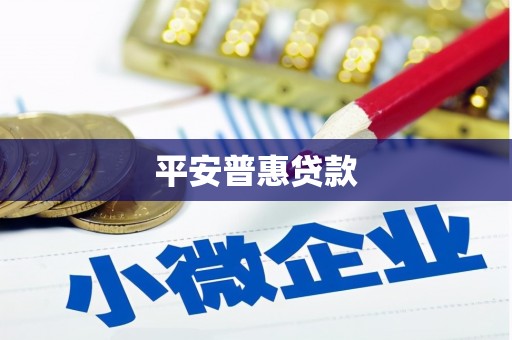 辽源平安普惠贷款