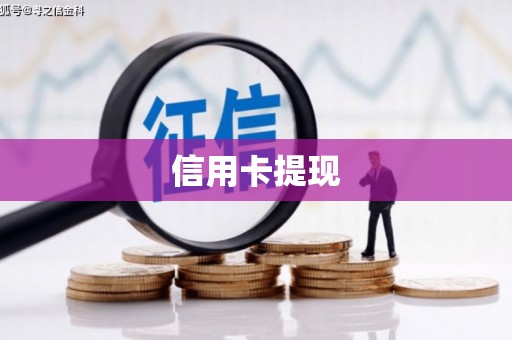 乐东信用卡提现