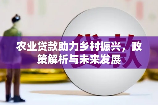 士林农业贷款助力乡村振兴，政策解析与未来发展