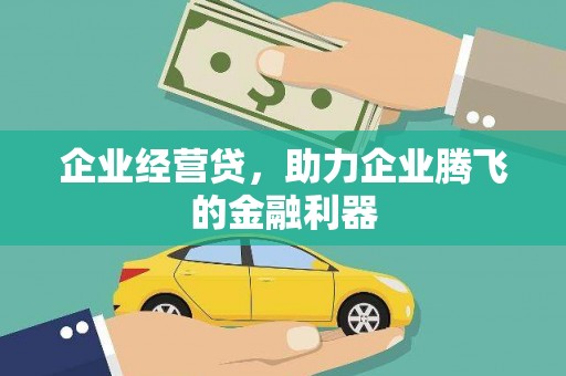 莱城企业经营贷，助力企业腾飞的金融利器