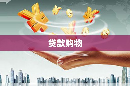 延平贷款购物
