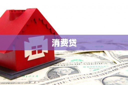 西海岸消费贷