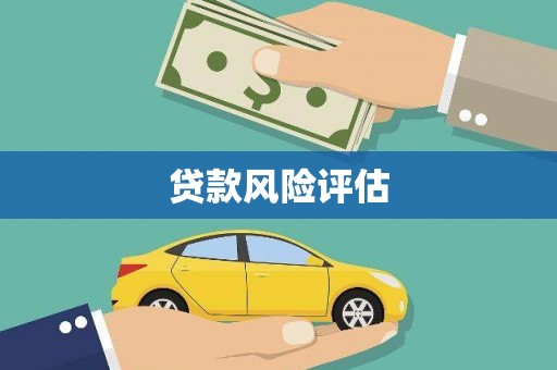 龙胜贷款风险评估