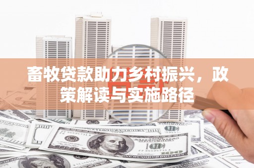 弥陀畜牧贷款助力乡村振兴，政策解读与实施路径