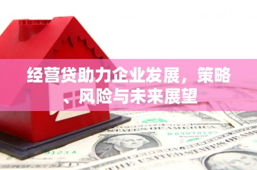 八宿经营贷助力企业发展，策略、风险与未来展望