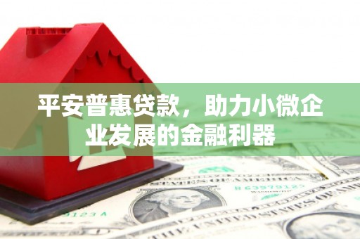 丰城平安普惠贷款，助力小微企业发展的金融利器