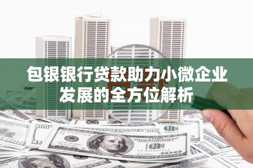 海兴包银银行贷款助力小微企业发展的全方位解析 海兴包银银行贷款助力小微企业发展的全方位解析