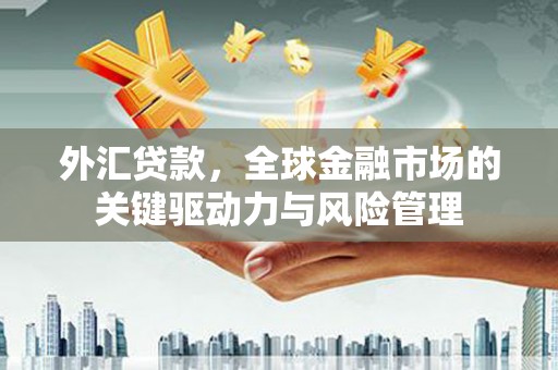 惠济外汇贷款，全球金融市场的关键驱动力与风险管理