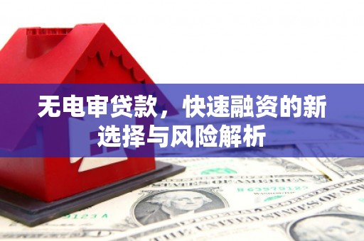 桐乡无电审贷款，快速融资的新选择与风险解析