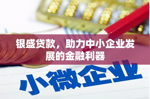 中和银盛贷款，助力中小企业发展的金融利器
