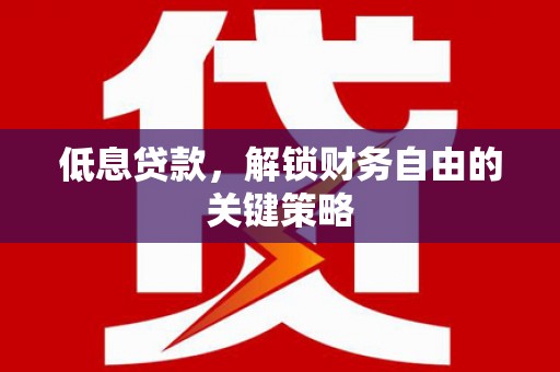利辛低息贷款，解锁财务自由的关键策略