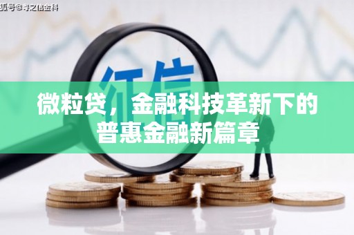 新会微粒贷，金融科技革新下的普惠金融新篇章