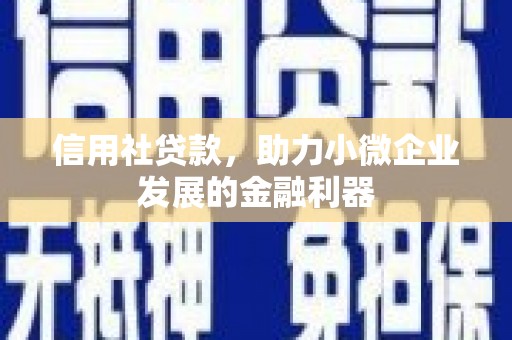 柳东信用社贷款，助力小微企业发展的金融利器