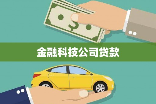 友谊金融科技公司贷款