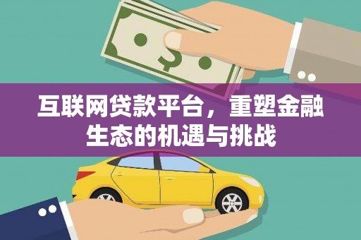 大丰互联网贷款平台，重塑金融生态的机遇与挑战