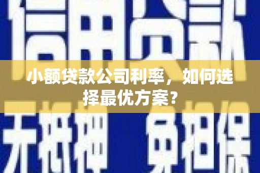 泽普小额贷款公司利率，如何选择最优方案？