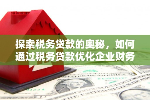 巴里坤探索税务贷款的奥秘，如何通过税务贷款优化企业财务