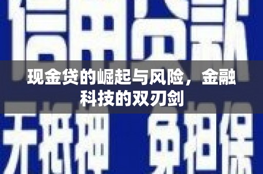 金阳现金贷的崛起与风险，金融科技的双刃剑