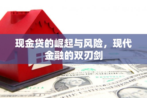 洛扎现金贷的崛起与风险，现代金融的双刃剑
