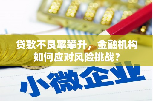 邗江贷款不良率攀升，金融机构如何应对风险挑战？