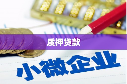 东坡质押贷款