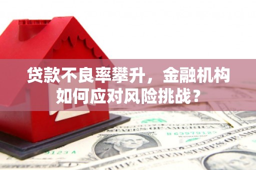青神贷款不良率攀升，金融机构如何应对风险挑战？