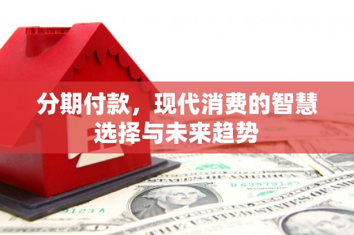 苓雅分期付款，现代消费的智慧选择与未来趋势