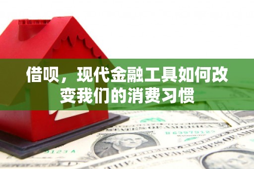 盐田借呗，现代金融工具如何改变我们的消费习惯