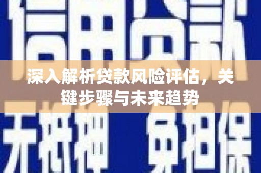 沈河深入解析贷款风险评估，关键步骤与未来趋势