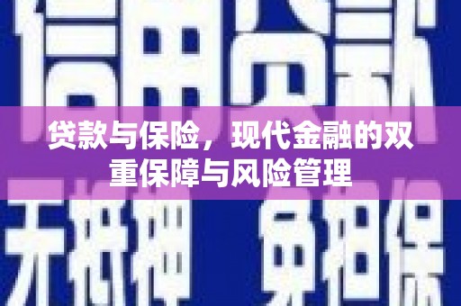 富源贷款与保险，现代金融的双重保障与风险管理