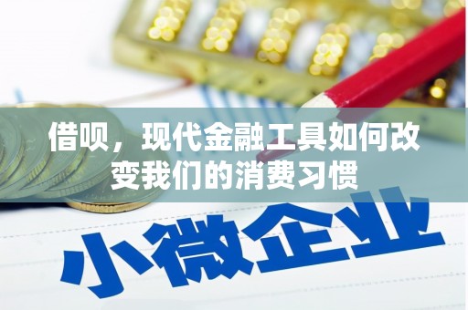 木兰借呗，现代金融工具如何改变我们的消费习惯