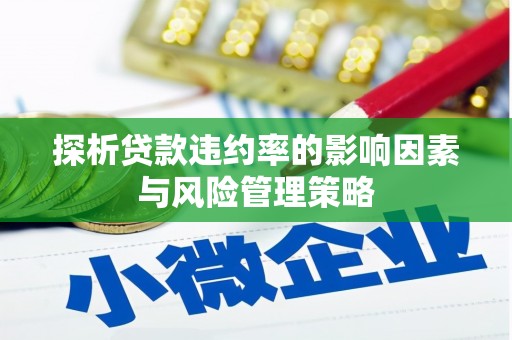 茂县探析贷款违约率的影响因素与风险管理策略