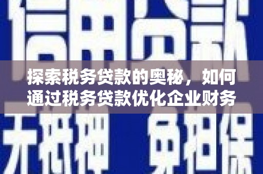 元谋探索税务贷款的奥秘，如何通过税务贷款优化企业财务