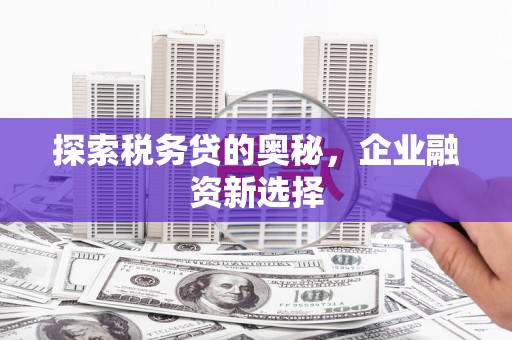 扎鲁特旗探索税务贷的奥秘，企业融资新选择