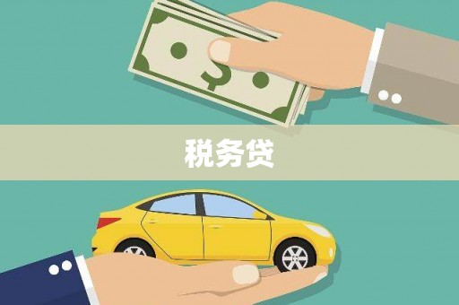凤岗税务贷