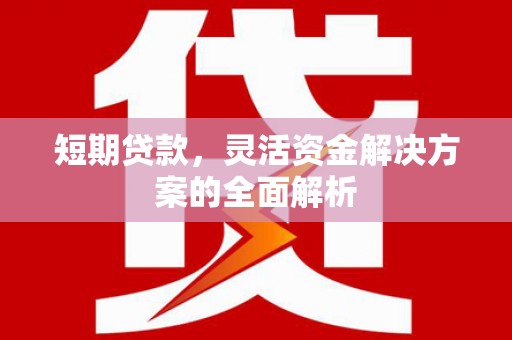 酒泉短期贷款，灵活资金解决方案的全面解析