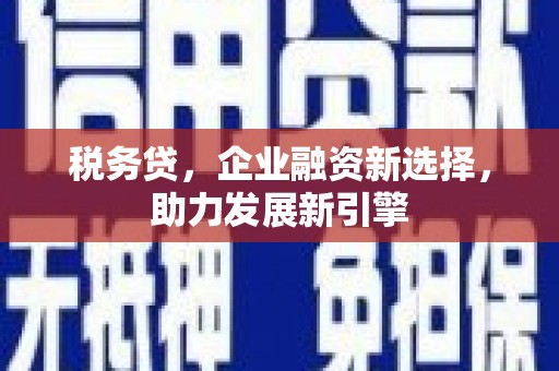 湖里税务贷，企业融资新选择，助力发展新引擎