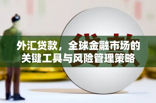 山海关外汇贷款，全球金融市场的关键工具与风险管理策略