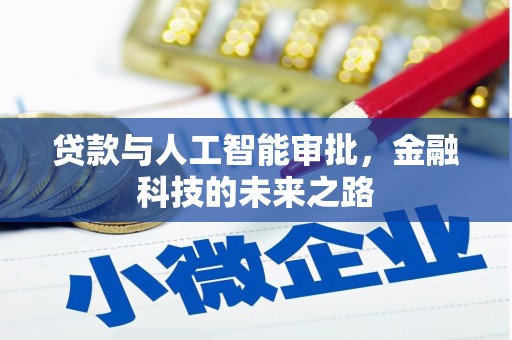 田尾贷款与人工智能审批，金融科技的未来之路