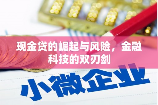 井冈山现金贷的崛起与风险，金融科技的双刃剑