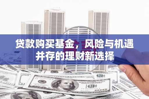 龙井贷款购买基金，风险与机遇并存的理财新选择