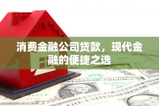 南乐消费金融公司贷款，现代金融的便捷之选